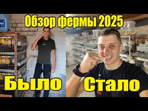 Видео: Обзор перепелиной фермы спустя год работы - успех или провал?