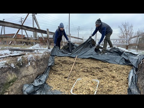 Видео: Зимова годівля і догляд за бичками! Вечірні працівники!