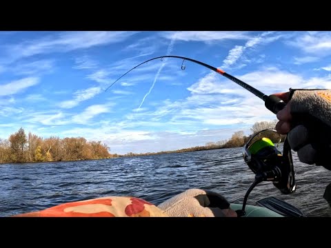 Видео: ЗАБРАЛИСЬ В ЩУЧЬЕ ЛОГОВО!!! Рыбалка на спиннинг в ноябре