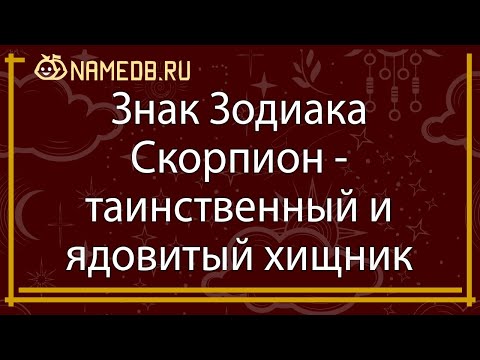 Видео: Знак зодиака Скорпион - таинственный и ядовитый хищник