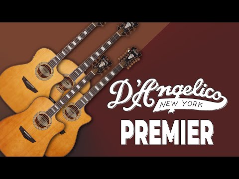 Видео: Акустики D'Angelico Premiere