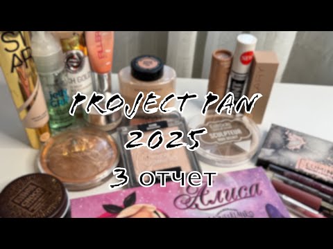 Видео: Project Pan 2025. Отчет 3. Обновление проекта🤭