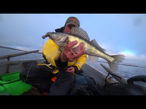 Видео: Выборгский залив. Дорожка. Судаки. День 2.