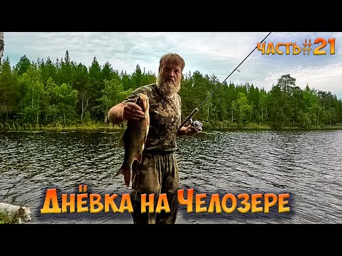 Видео: #21 Рыбачим на Челозере| Ковдозеро 2023