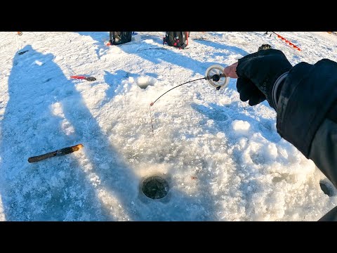 Видео: ПОПАЛ НА ЯМУ С КРУПНЯКОМ! ТУТ УДОЧКУ ОТБИРАЮТ! Рыбалка на безмотылку зимой в 2025