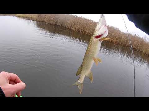 Видео: Лух ноябрь