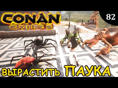 Видео: Conan Exiles КАК ВЫРАСТИТЬ ПАУКА СКОРПИОНА