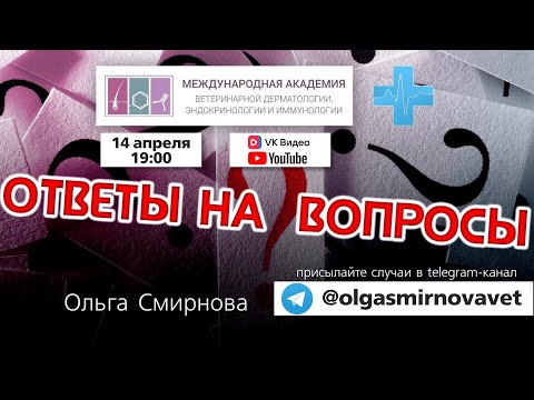 Видео: Ответы на вопросы. Выпуск от 14.04.2025