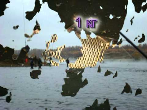 Видео: На Трояне.Десногорское вдхр.