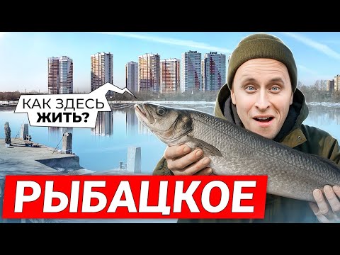Видео: РЫБАЦКОЕ 2025 / Квартиры с пропиской СПб с видом на Неву - ПЛЮСЫ И МИНУСЫ района
