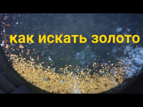 Видео: Как искать золото (коренник и щётки)  Finding Gold.