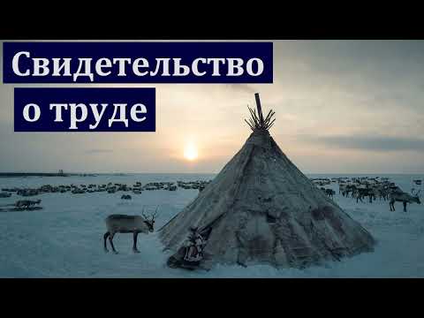 Видео: Свидетельство о труде. В. Поляков. МСЦ ЕХБ