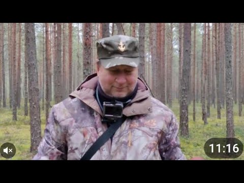 Видео: 08.10.2024! Поехали на Прогулку, а Набрали Отличного Гриба в Новом Месте ЛенОбласти!  Боры дают 🍄🍄.