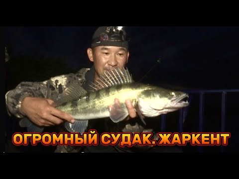 Видео: РЫБАЛКА. СУДАК. ЖАРКЕНТ / ОЛЖА / 23.09.2023
