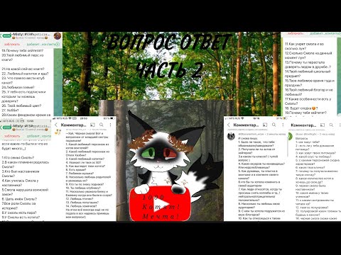 Видео: ВОПРОС-ОТВЕТ! 2 ЧАСТЬ #warriorcatsultimateedition