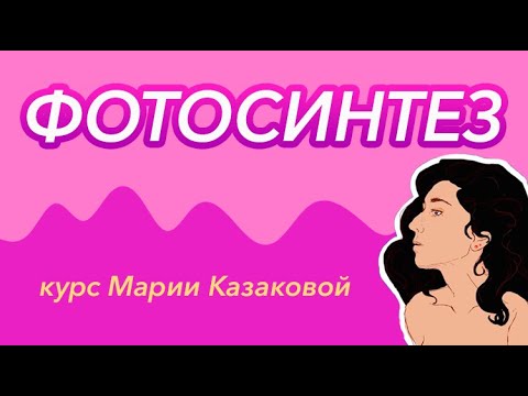 Видео: Урок "Фотосинтез" - ЦТ, ЕГЭ, ЗНО