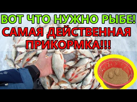 Видео: СЕКРЕТНАЯ прикормка, от которой рыба СХОДИТ С УМА! Вы не поверите, что входит в состав!