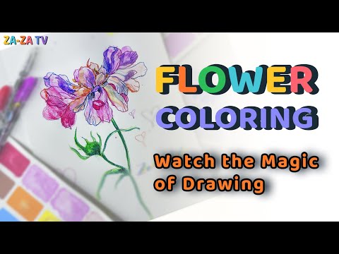 Видео: Flower Coloring | Рисуем и раскрашиваем цветок под музыку