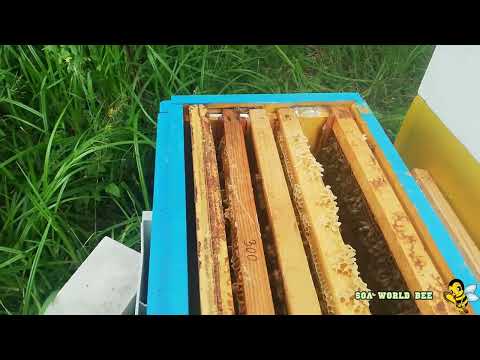 Видео: Работа с отводками УС