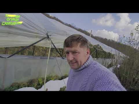 Видео: Система вентиляции теплицы. Опыт эксплуатации и мой отзыв.