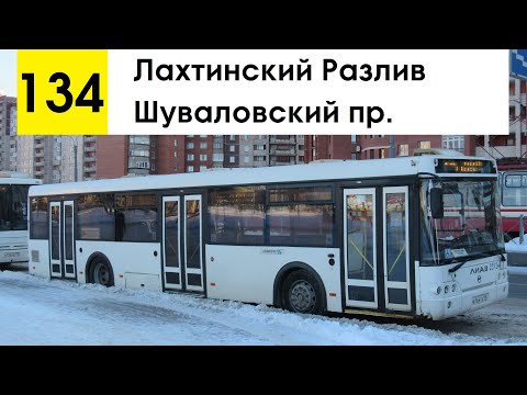 Видео: Автобус 134 "Шуваловский пр. - Лахтинский Разлив" (старая трасса)
