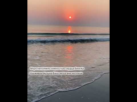 Видео: "Стихи должны звучать"