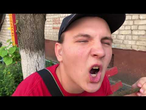 Видео: "Глухие" Бобёр, медведь и заяц против человека