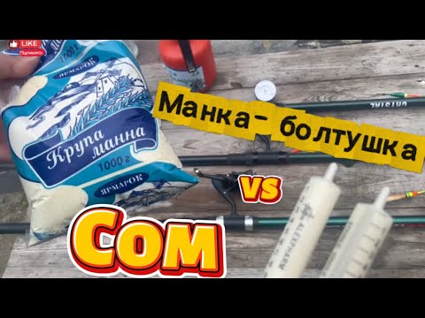 Видео: Ловля Сома на (МАНКУ-БОЛТУШКУ)