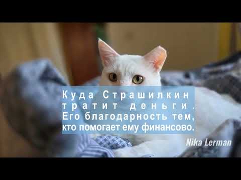 Видео: Страшила рассказывает, куда тратит деньги тех, кто помогает ему вести хозяйство )))) 