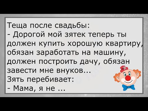 Видео: 🔥Мама Спрашивает Маленького Сына...Большой Сборник Весёлых Анекдотов, Для Спер Настроения!