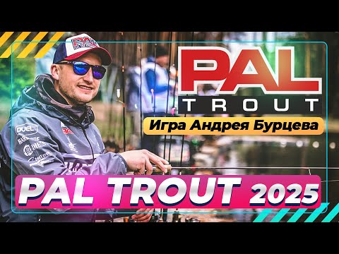 Видео: Ловля форели. Игра Бурцева. PAL Trout 2025. #OnlySpin