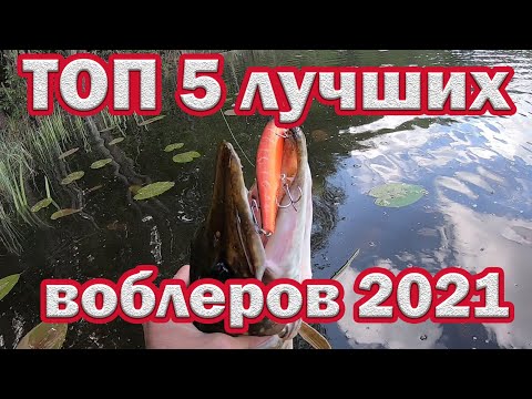 Видео: Топ 5 лучших воблеров  2021 с Алиэкспресс . Китайские воблеры которые ловят!!! Рыбалка на спиннинг