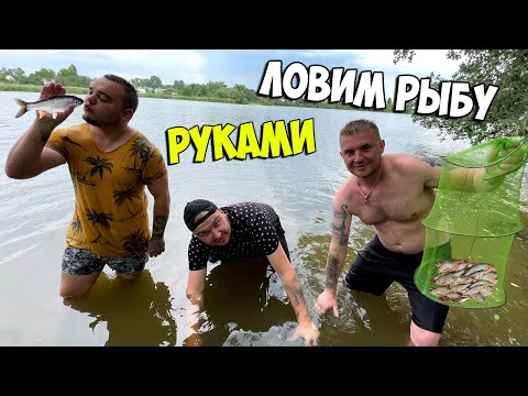 Видео: ЛОВИМ РЫБУ РУКАМИ В КАМЫШАХ! Что удалось поймать?