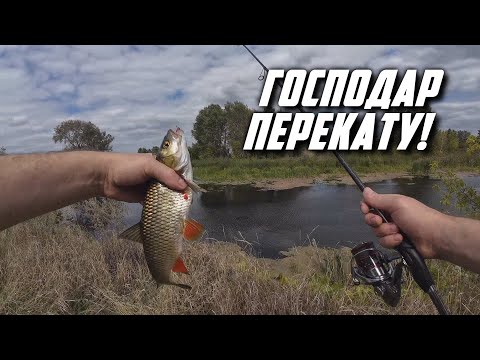 Видео: ‼️ГОЛОВЕНЬ на початку ОСЕНІ📌 КОЛИВАЛКАМИ по ТРАВІ!🔑 р.ПСЕЛ