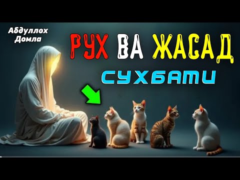 Видео: Рух ва жасад сухбати! °Абдуллох Домла°Abdulloh Domla° #abdullohdomla #namoz #zikr #salovat #duo