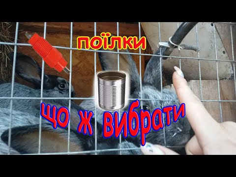 Видео: ПОЇЛКИ ДЛЯ КРОЛИКІВ//НІПЕЛЬНІ ПОЇЛКИ//Недоліки на досвіді