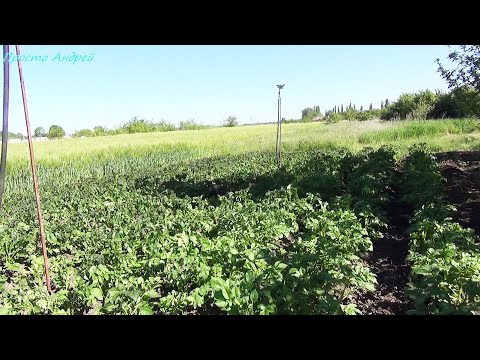 Видео: МЕНЯ постигла неудача  или наша Сельская жизнь