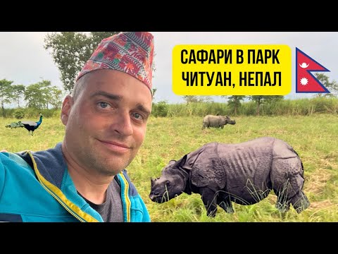 Видео: 🇳🇵 Сафари в Парк Читуан, Непал 🦏