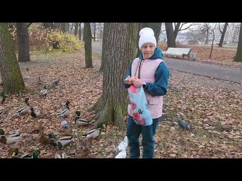 Видео: Парк цпкио,  в Санкт-Петербурге 