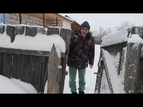 Видео: ЗАРЯДИЛИ КОРМУШКИ ДЛЯ ПТИЦ,ПОВЕСИЛИ САЛО ДЛЯ СИНИЧЕК. РАССКАЖУ ПРО ЮРУ И НАДЮШУ.