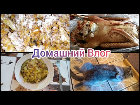 Видео: Мой День\ Готовлю Фаршированного Селезня\ Заготавливаю Пельмени\ Хворост