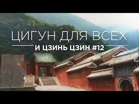 Видео: ЦИГУН ДЛЯ ВСЕХ - И ЦЗИНЬ ЦЗИН #12