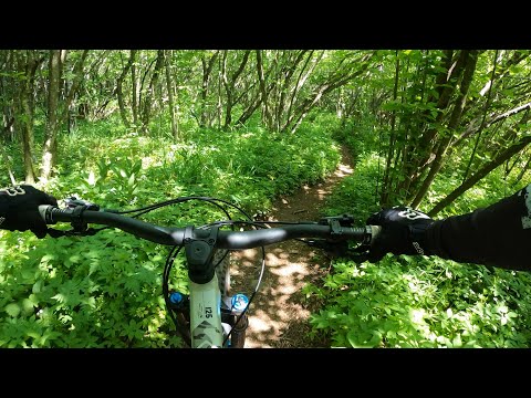 Видео: Витошко плато - х. Камен дел - боянско езеро - Бояна (08.06.2025)