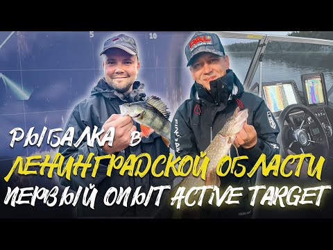 Видео: Рыбалка в Ленинградской области. Первый опыт использования Active Target.