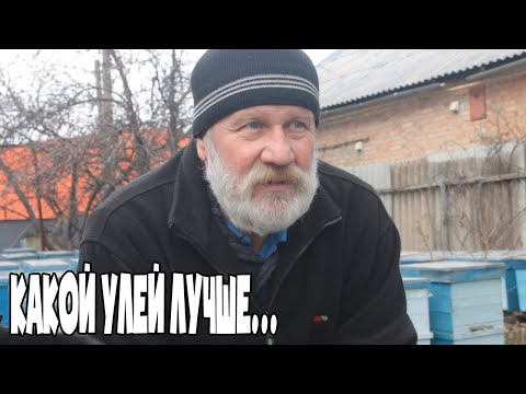 Видео: Какой улей лучше для зимовки и КАКУЮ СИСТЕМУ ВЫБРАТЬ ДЛЯ СЕБЯ  Пчеловодство 2020  Пчеловодство для н