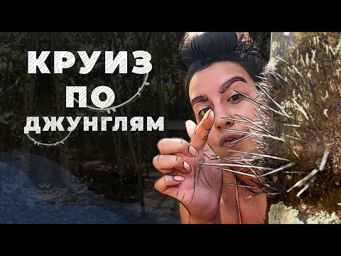 Видео: Круиз по джунглям. БРАЗИЛИЯ