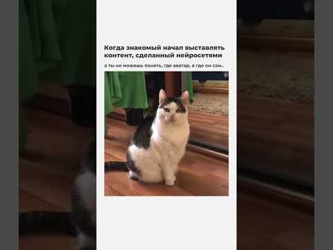 Видео: Хочешь так же? 😄 тогда заполняй анкету по ссылке в шапке профиля и получай бонусы 🚀