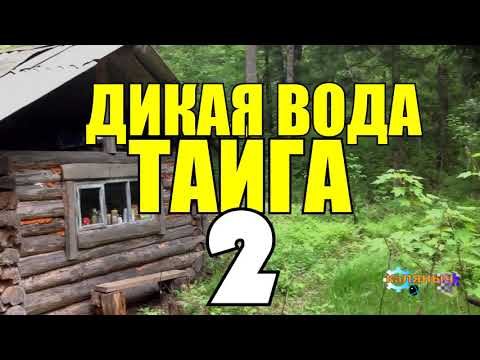 Видео: ПРОМЫСЕЛ В ТАЙГЕ | РАСКУЛАЧИВАНИЕ ИСТОРИИ ЛЮДЕЙ | ОДИН В ТАЙГЕ ЗИМОЙ | СУДЬБА ЧЕЛОВЕКА 2
