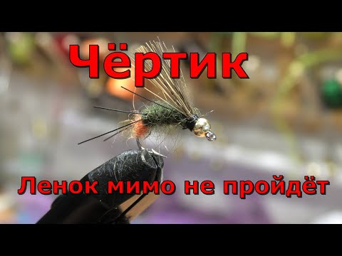 Видео: Чёртик на Ленка!!!