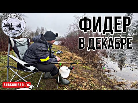 Видео: ЗИМНЯЯ РЫБАЛКА НА ФИДЕР❄️ Ловлю фидером на реке.Нашел активную плотву🐟